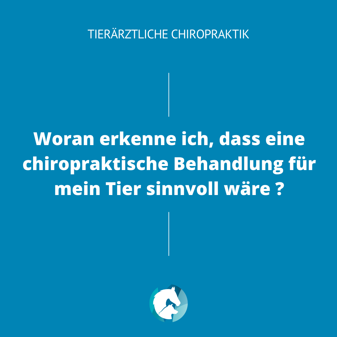 Chiropraktische Behandlung