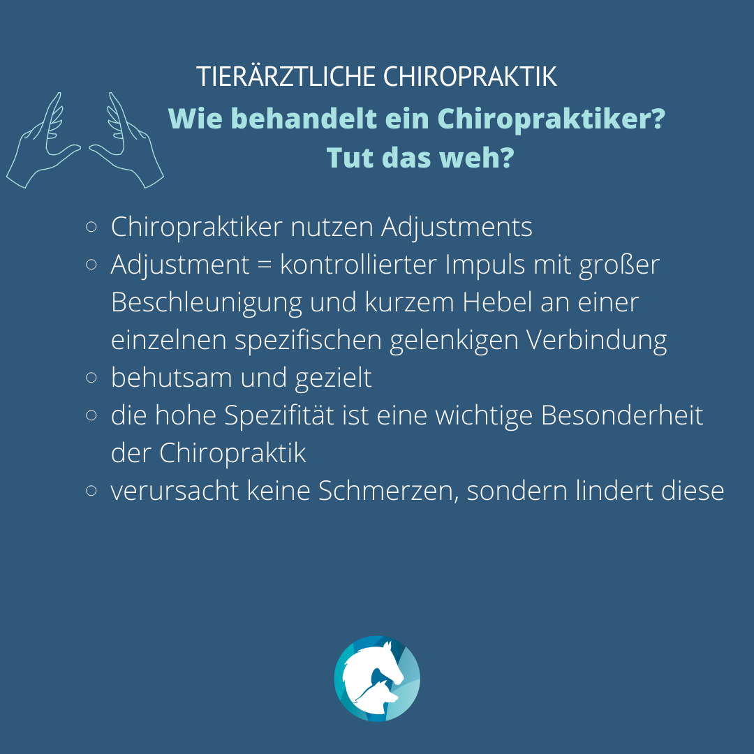 Wie behandelt ein Chiropraktiker? Tut das weh?