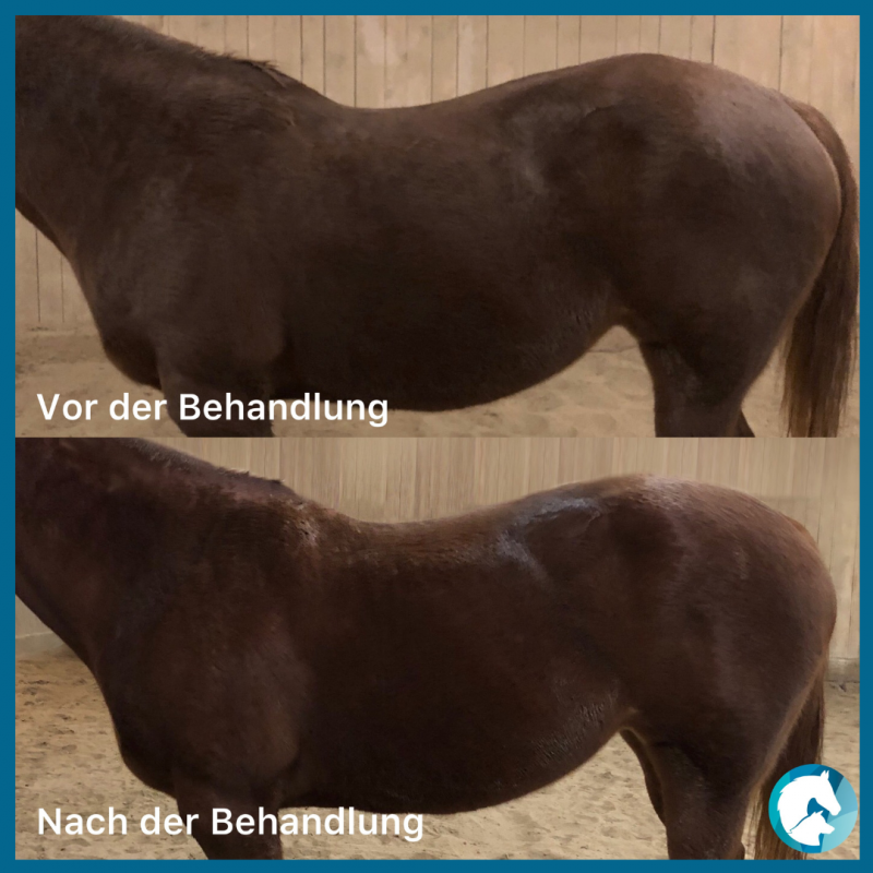 Fallbericht Trageerschöpfung